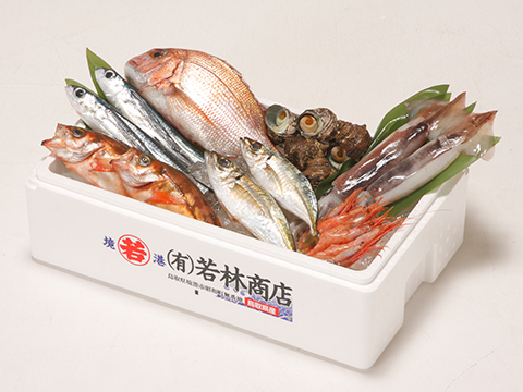 鮮魚容器